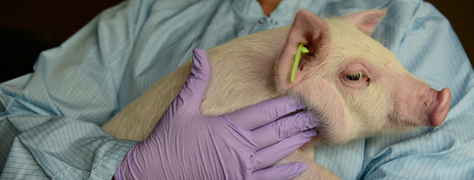 Clinical Research & Animal Care | Vaccine and Infectious Disease  Organization
